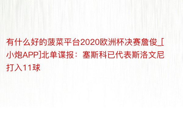 有什么好的菠菜平台2020欧洲杯决赛詹俊_[小炮APP]北单谍报：塞斯科已代表斯洛文尼打入11球