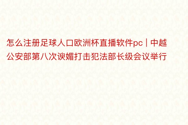 怎么注册足球人口欧洲杯直播软件pc | 中越公安部第八次谀媚打击犯法部长级会议举行